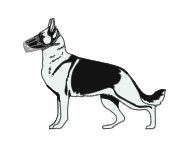 Dog bite
