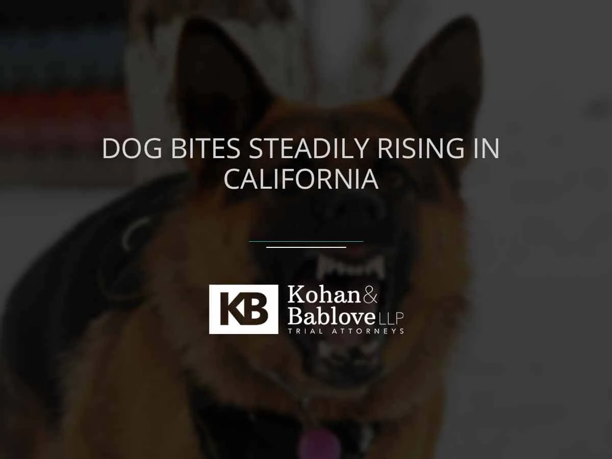 dog bites steadily rising in CA