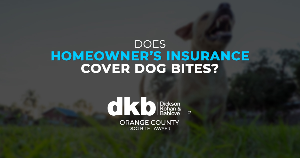 Does Homeowners Insurance Cover Dog Bites Kohan Bablove Injury Does Homeowners Insurance Cover Dog Bites Kohan Bablove Injury