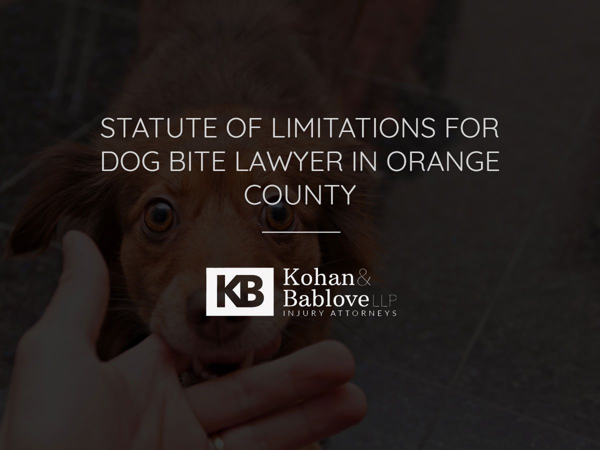 Statute of Limitations for Dog Bite Lawyer in Orange County