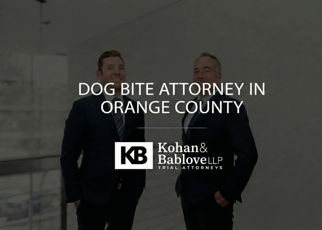 Dog Bite Attorney In Orange County